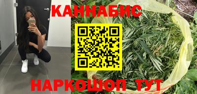 тгк Гай