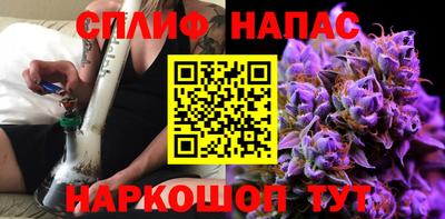 крисы Абакан