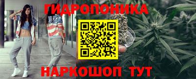 крисы Абакан