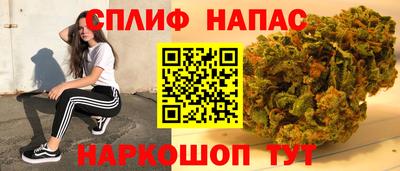 тгк Гай