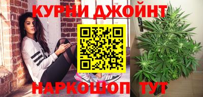 крисы Абакан
