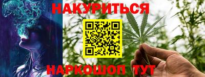 крисы Абакан