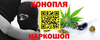 тгк Гай