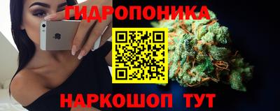 крисы Абакан