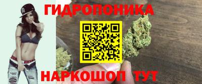 крисы Абакан
