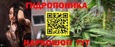 прущие грибы Азнакаево