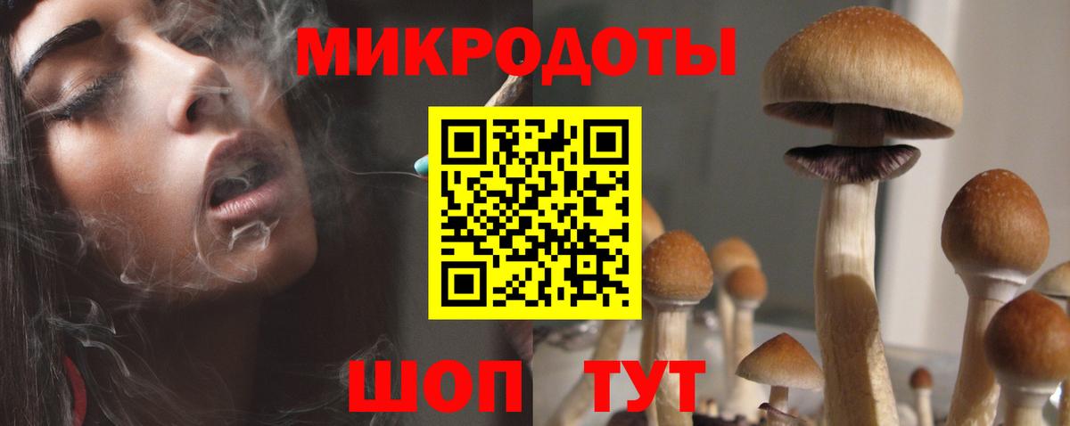 Галлюциногенные грибы MAGIC MUSHROOMS Алексин