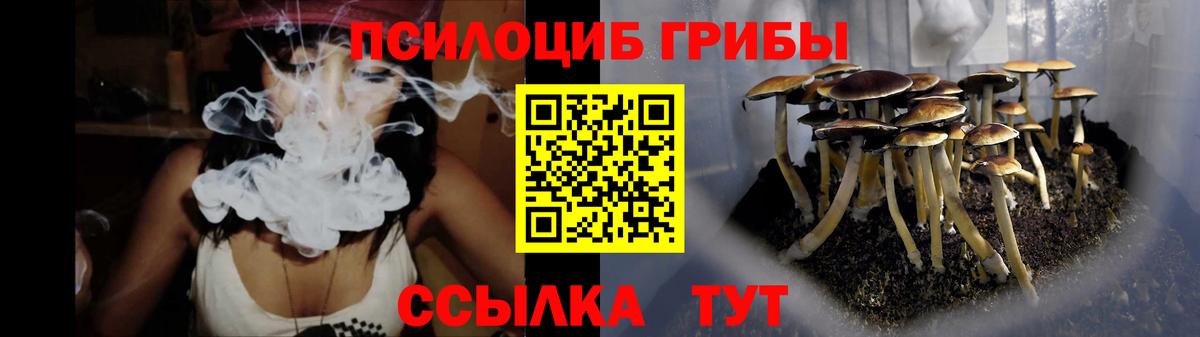 продажа наркотиков  Вход с VPN  Алексин  Галлюциногенные грибы Psilocybine cubensis 